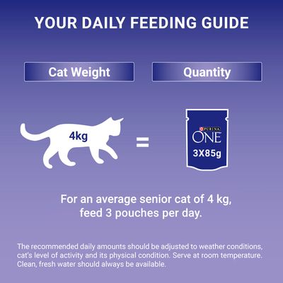 PURINA ONE Senior 7+