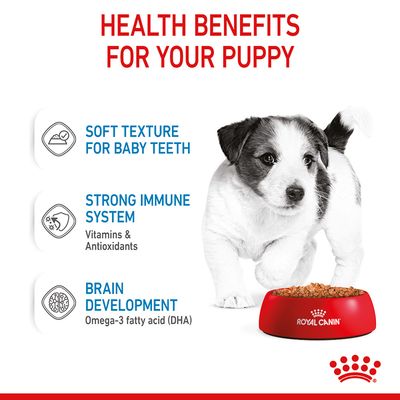 Royal Canin Mini Puppy in Gravy