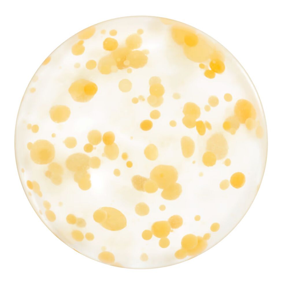 Shiseido Waso Yuzu-C