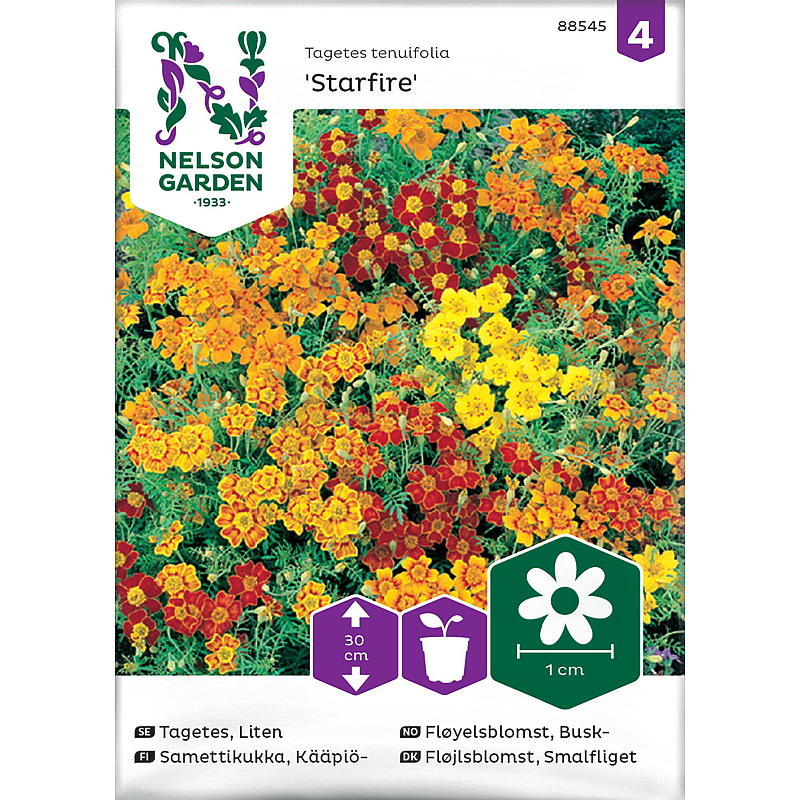 Nelson tuinzaden, fluweelbloemstruik, Starfire gemengd