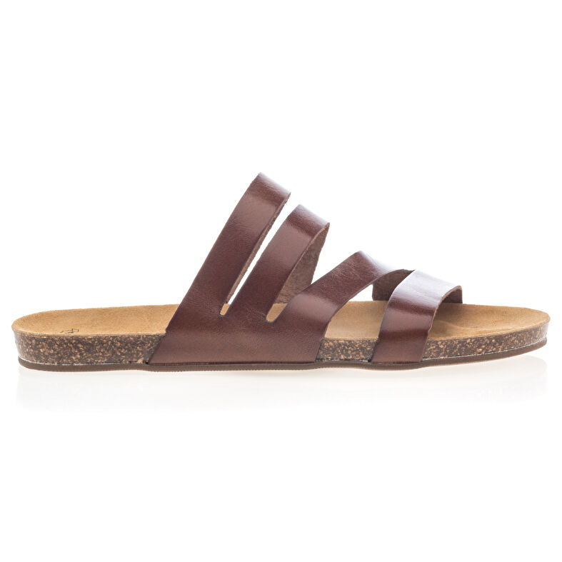 Women's Brown Mules/Clogs