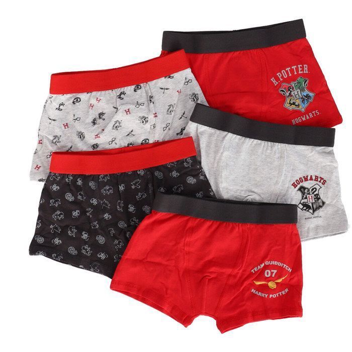 WARNER - Lot De 5 Boxers Harry Potter - Garçon - 4/5 ans