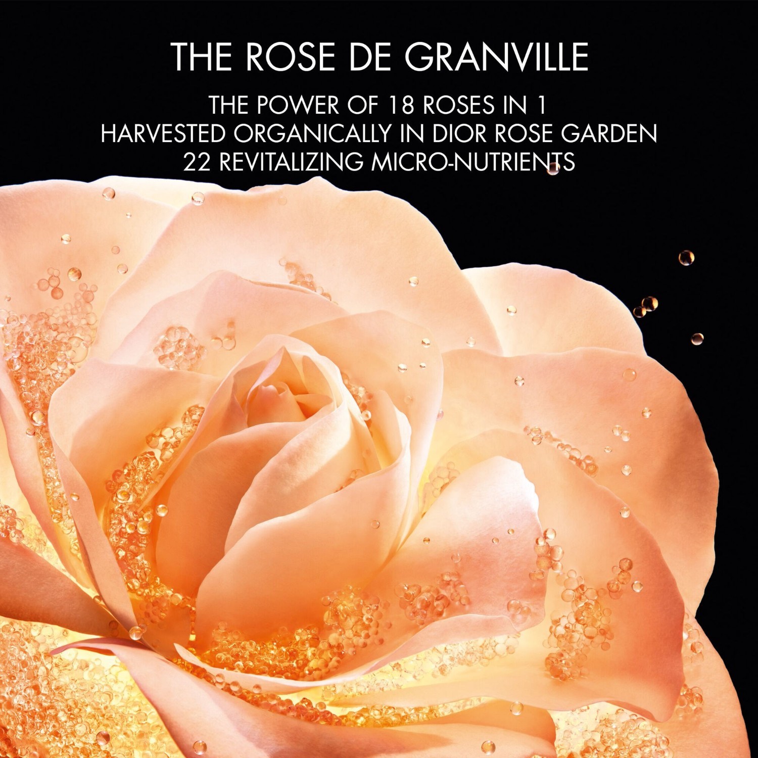 DIOR Augenserum Dior Prestige The Micro-Rose Eye Serum - 20 ml