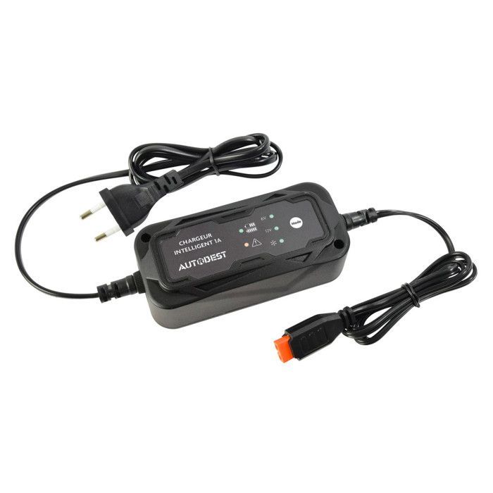 Cargador de batería para motocicleta - Carga de mantenimiento de 6V/12V