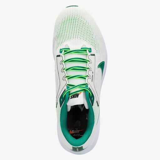 Nike Pegasus 40