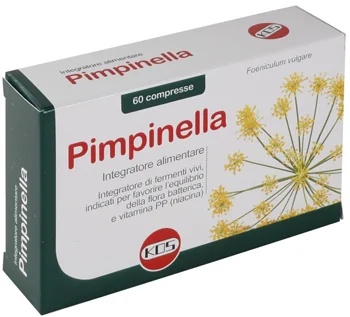 Suplemento KOS Kos Pimpinella 60 comprimidos Fermentos lácticos e vitamina PP