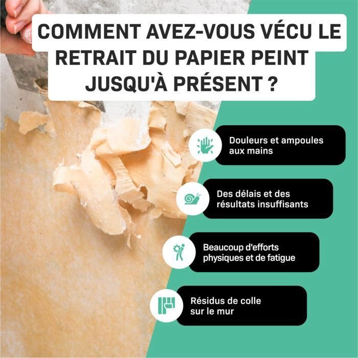VONROC Décolleuse à Papier Peint à Vapeur 2200W - Réservoir 4.5L, Autonomie 75 min, Flexible 3m, Plateau 28x20cm - VONROC