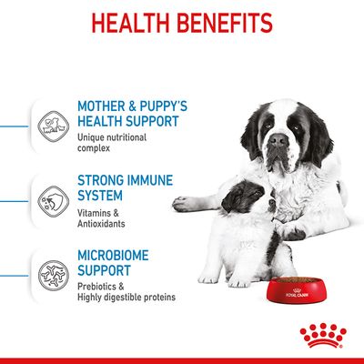 Royal Canin Giant Starter Mother & Babydog