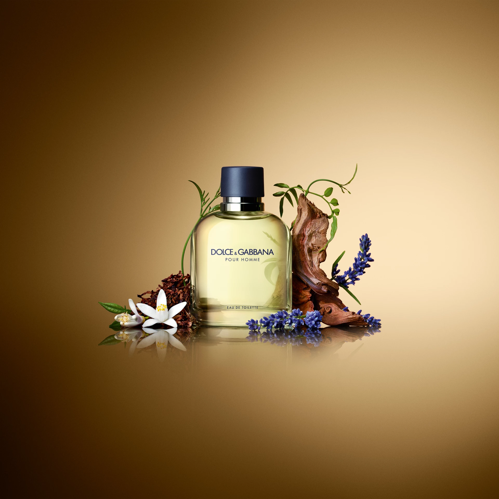 Pour Homme EdT 75 ml - Dolce & Gabbana