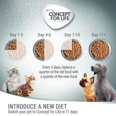 Concept for Life Alle Katzen – in Gelee