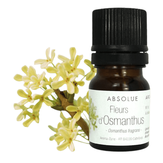 Absolue de fleurs d'Osmanthus
