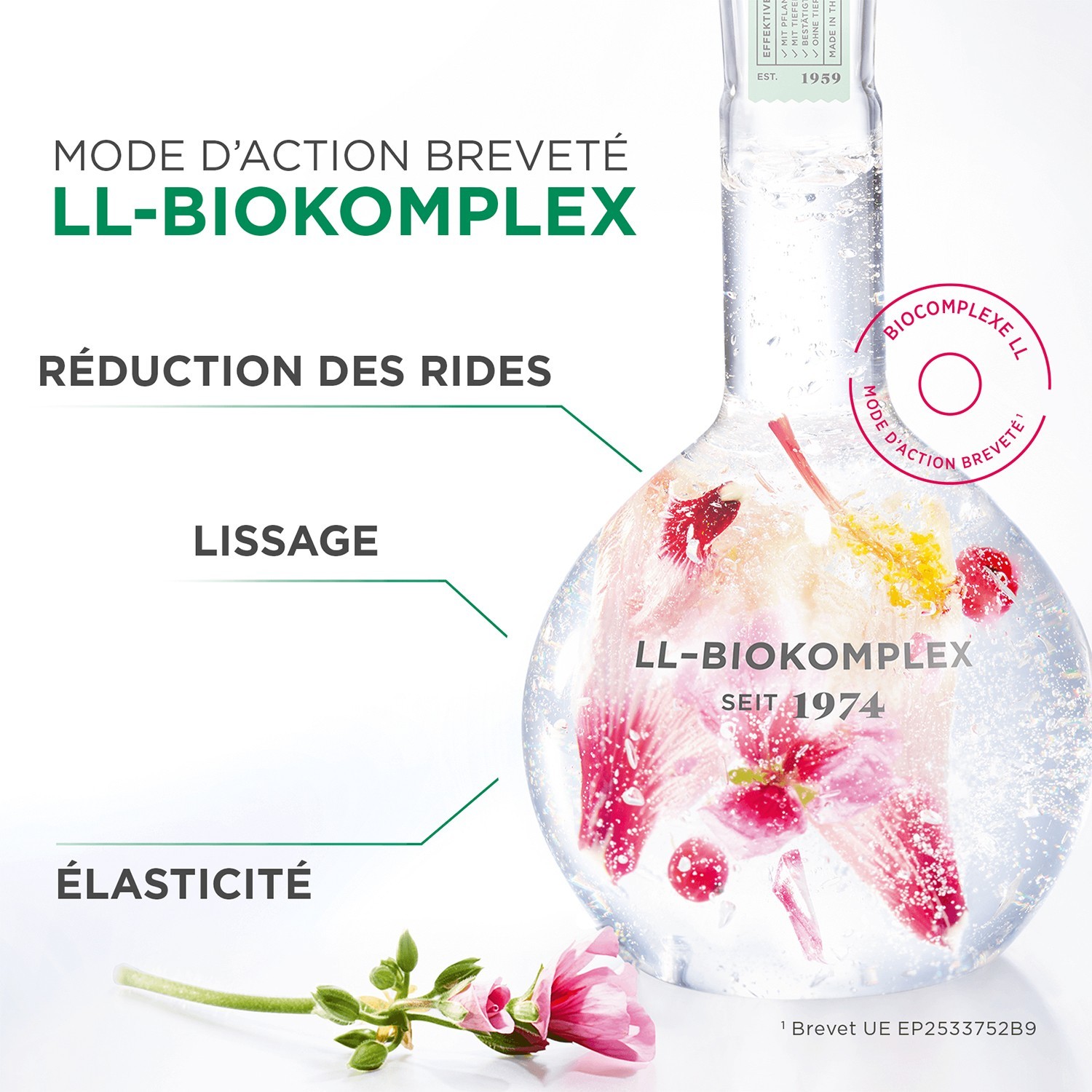 ANNEMARIE BÖRLIND Crème de Jour Revitalisante