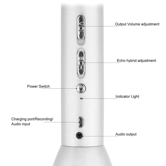 Microfono wireless con altoparlante integrato per karaoke con Bluetooth, kit per sistema da studio per KTV, insegnamento e spettacoli.