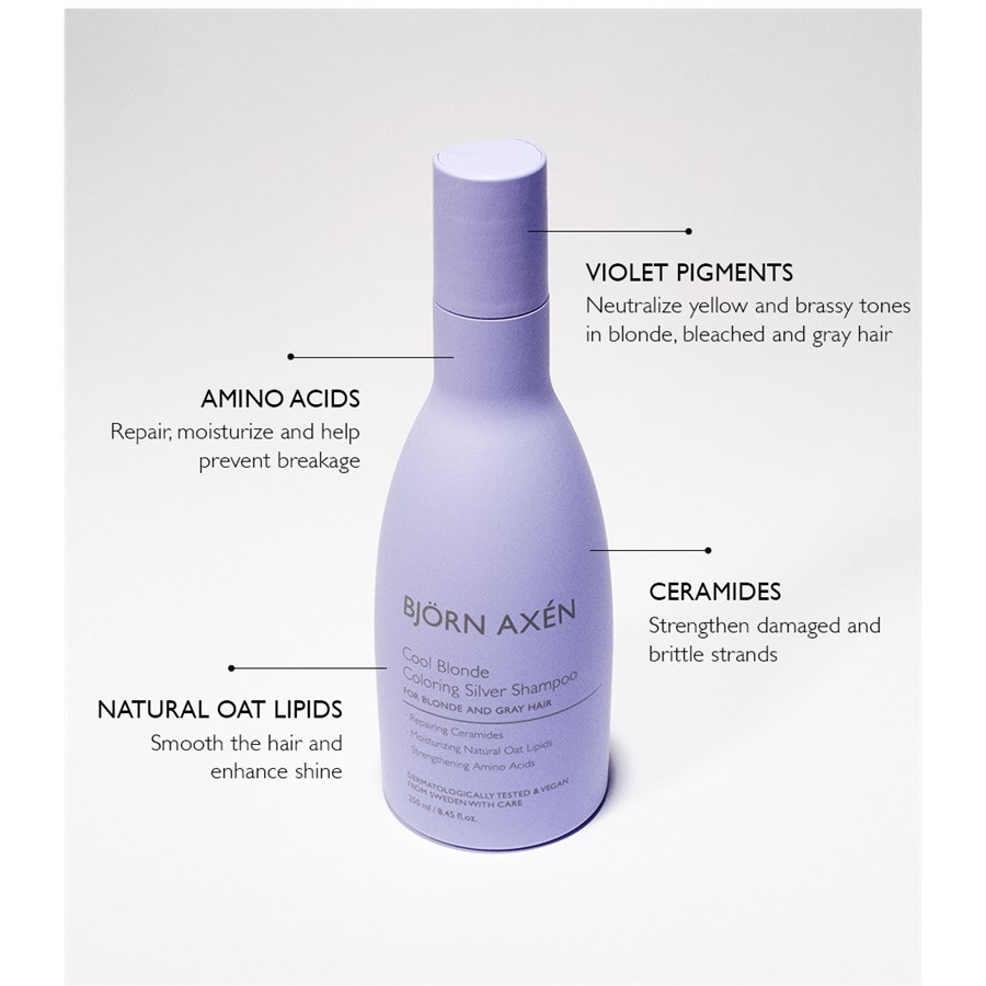 BJÖRN AXÉN Šampon za farbanje kose Srebrni šampon - 250 ml