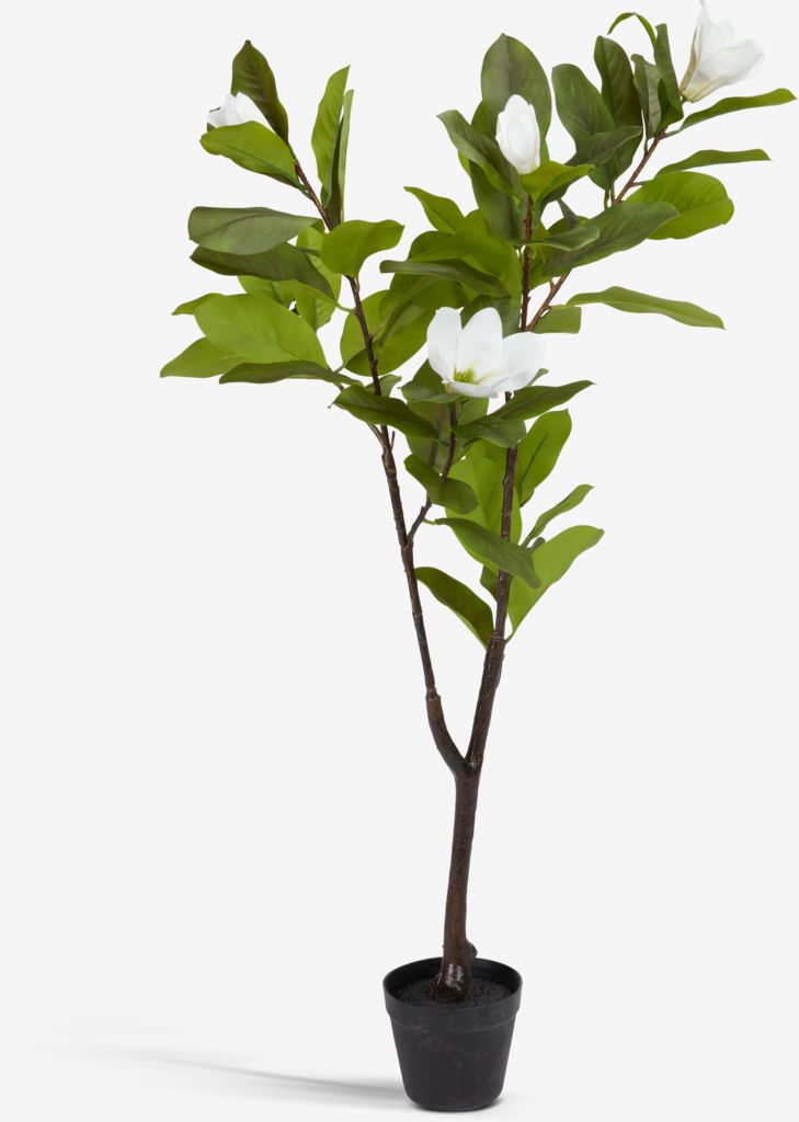 VRETENO Umjetna biljka VRETENO V120cm magnolija