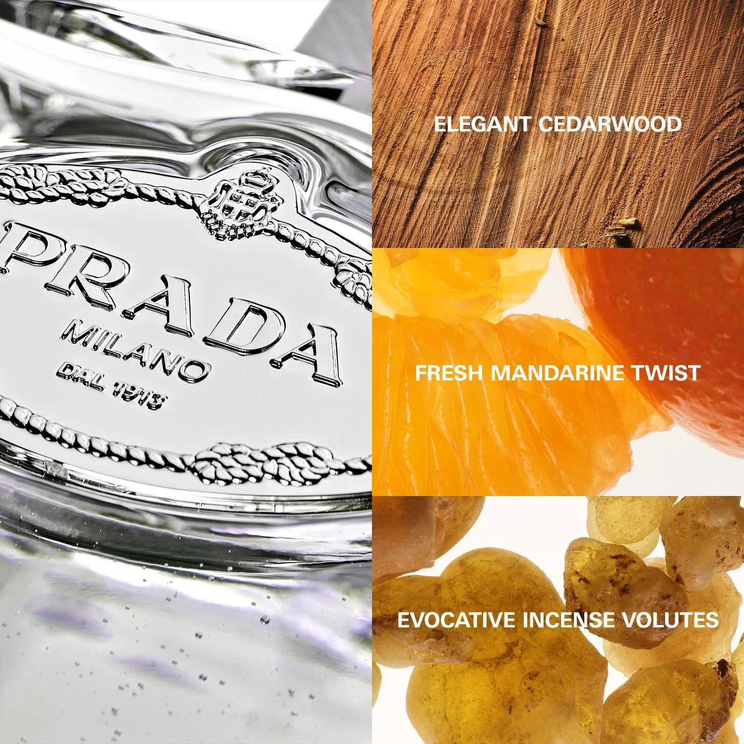 Cedar Iris Infusion EdP 100 ml - Prada