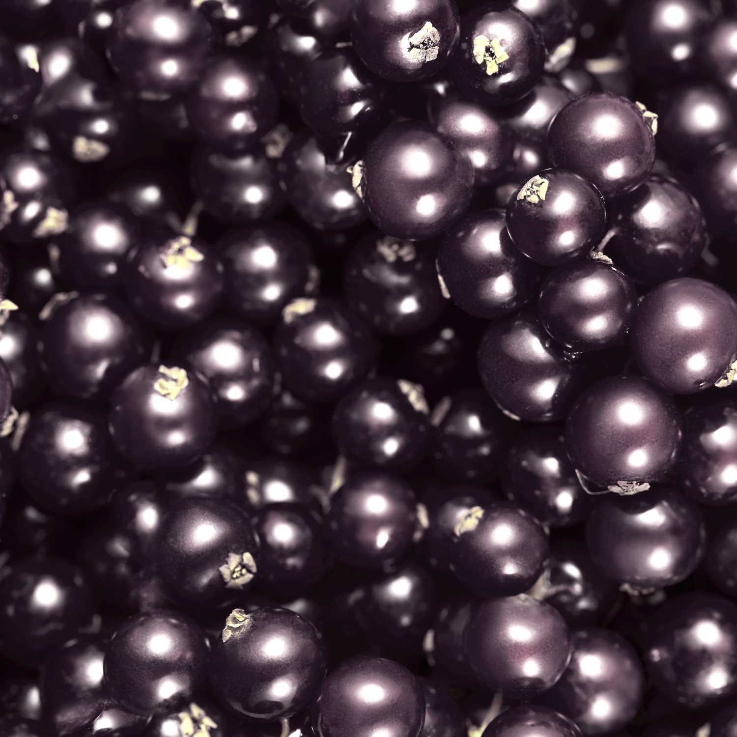 Escada parfemska voda Escada Magnetism - 25 ml