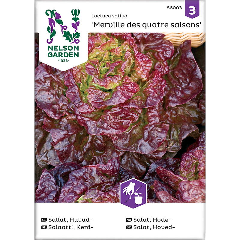 Nelson Garden Seeds Salathode, Merveille des quatre s.