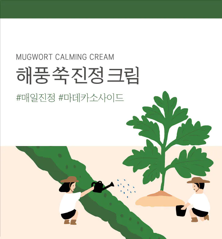 Round Lab Mugwort - Calming Cream 80ml