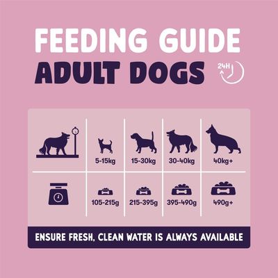 Burgess Sensitive Adult Dog Lax