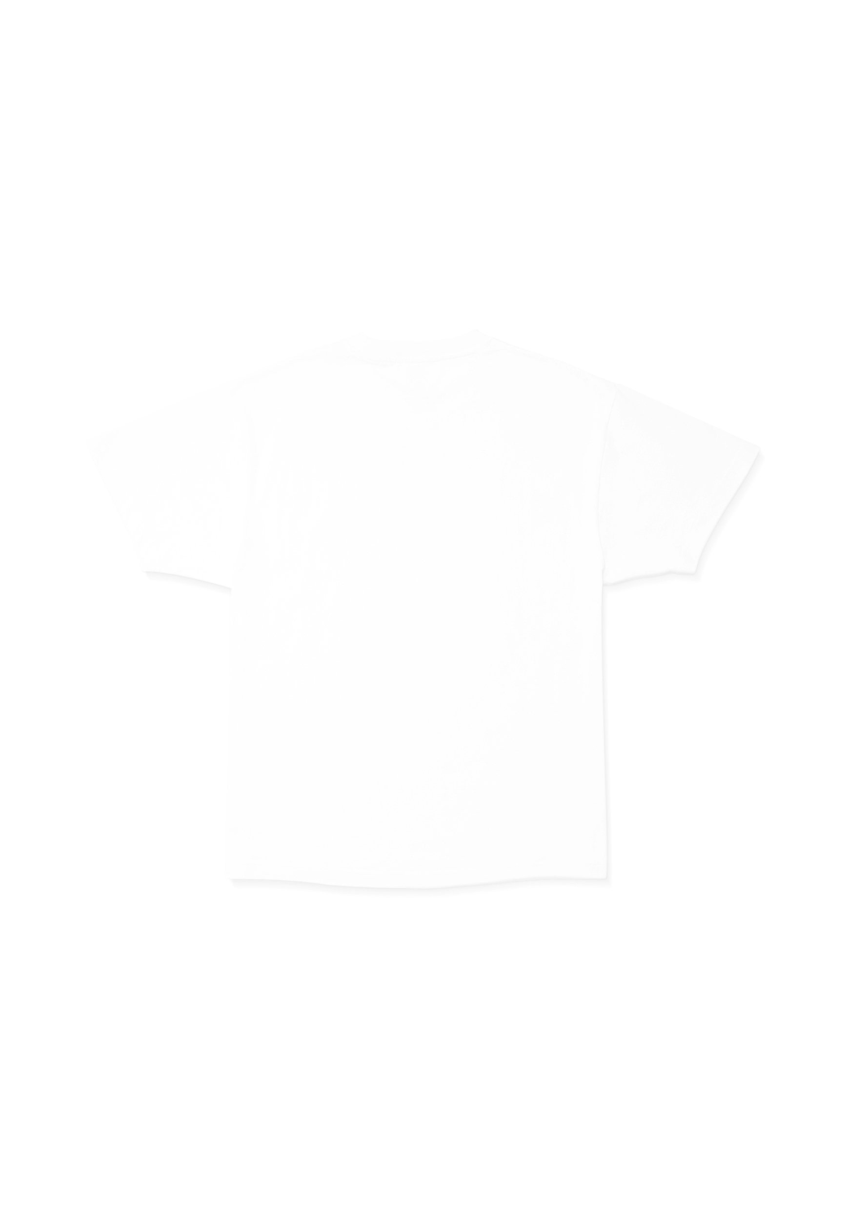 Koszulki Volcom Basic