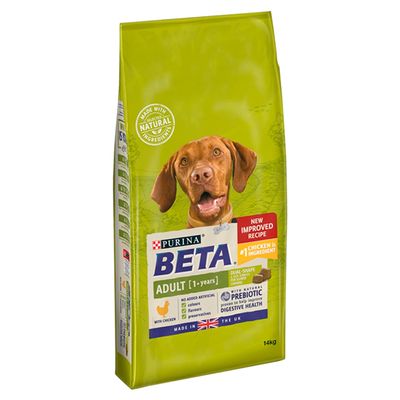 BETA Volwassen Kip