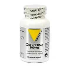 SANTIVERI Santiveri Quercitinesupplement 60 capsules