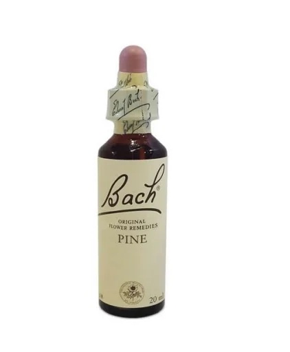 NATUR Bach Center Ess Borovice 20 ml