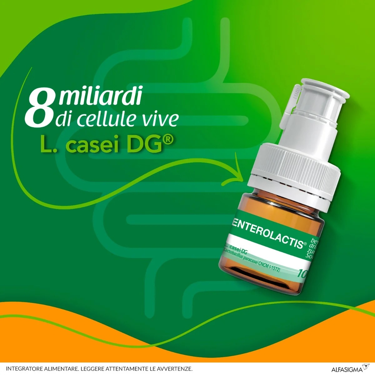 ENTEROLACTIS Enterolactis Drinkoplossing 6 flesjes x 10 ml
