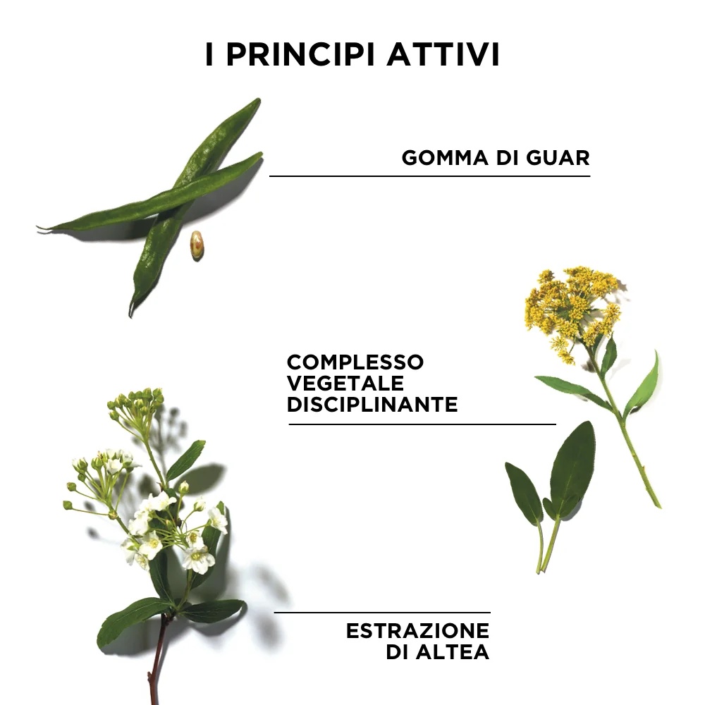 PHYTO Phyto ontwarrende borstelgel, voor het in model brengen van haar