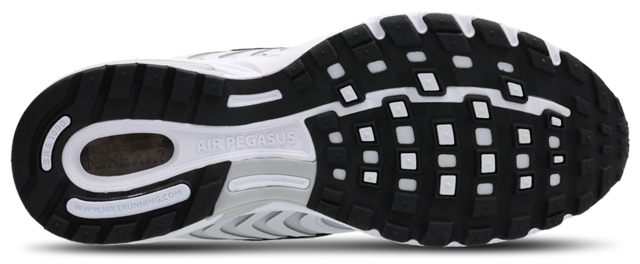 Nike Pegasus 2005