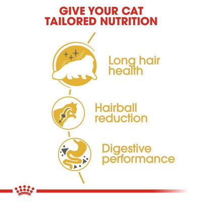 Royal Canin Persian Adulto