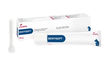 Pasta de dientes Dentalept Oral