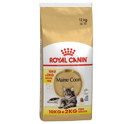 Royal Canin Maine Coon Adulto