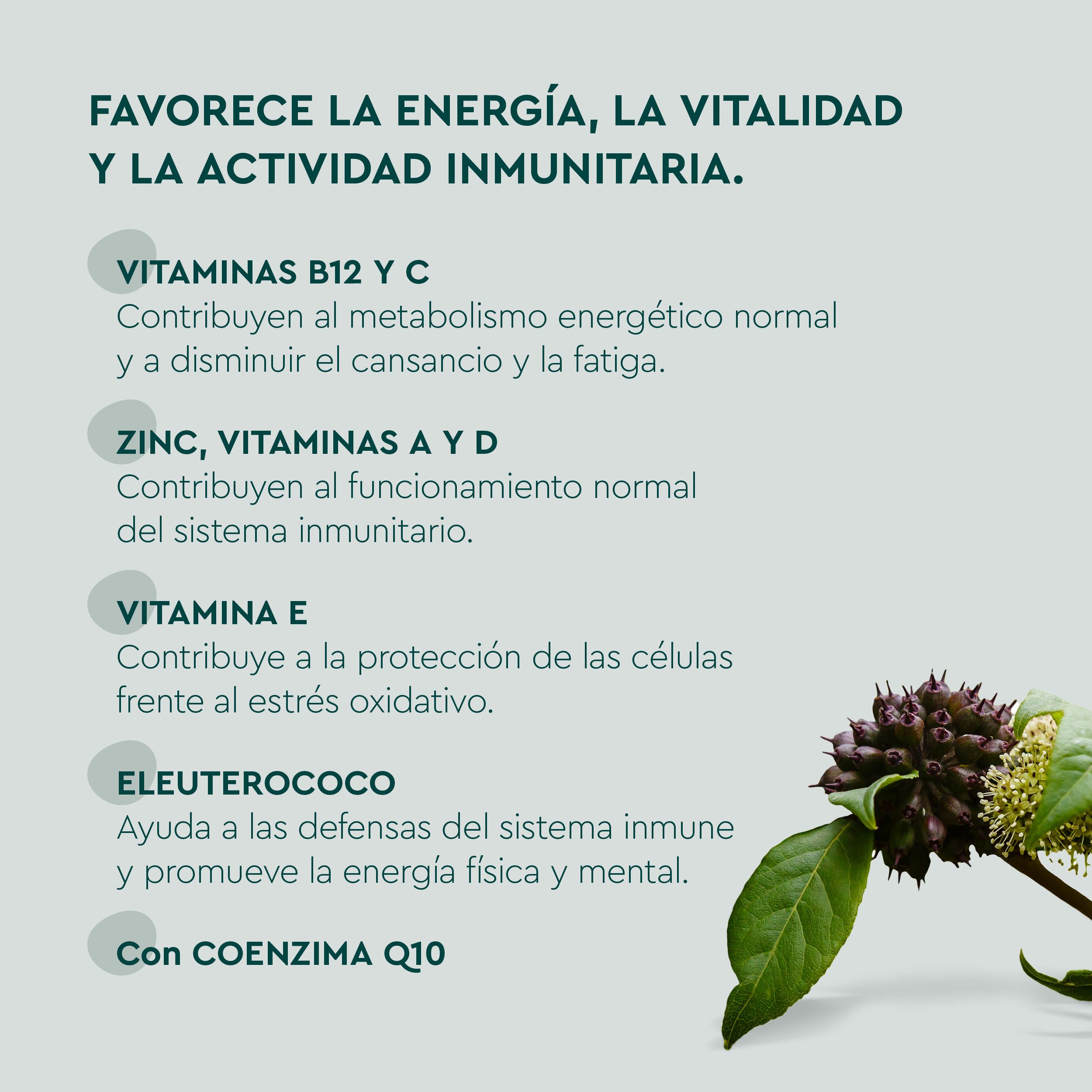 Multivitaminski gumi bonboni Vitamini in minerali