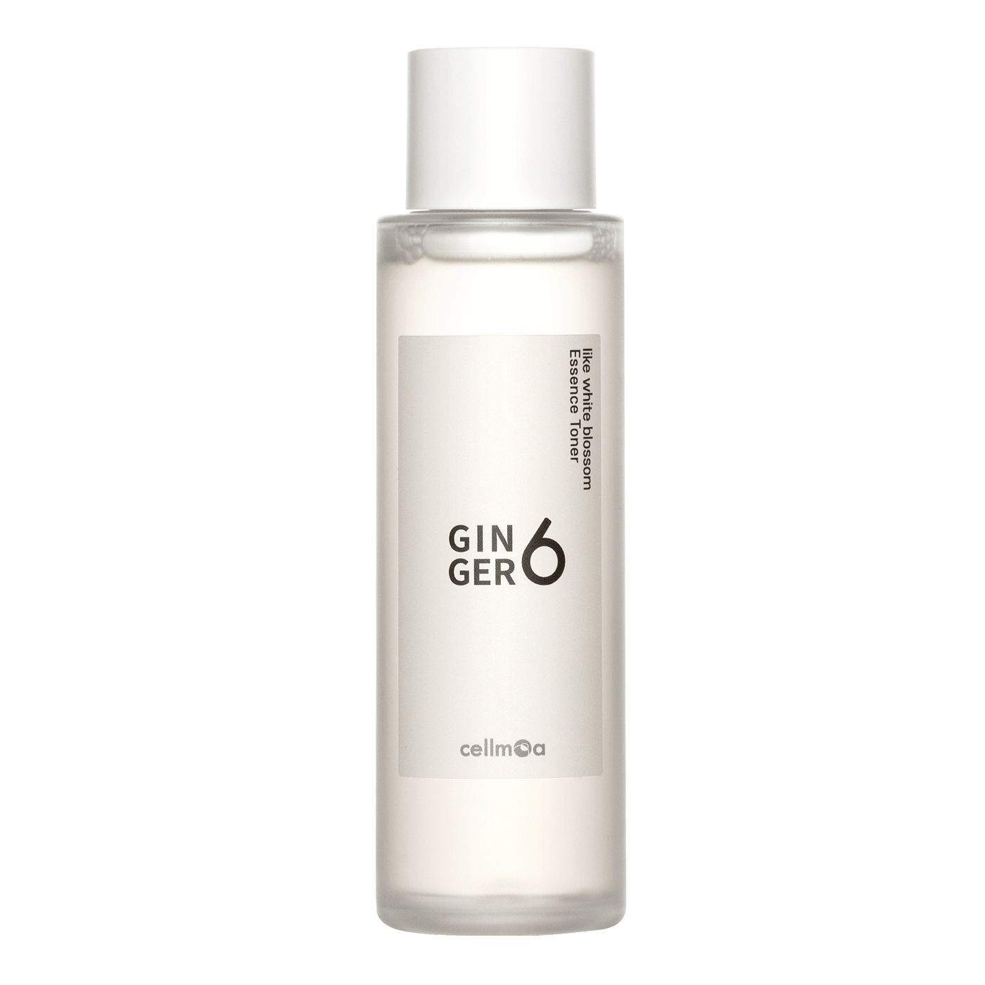 Ginger 6