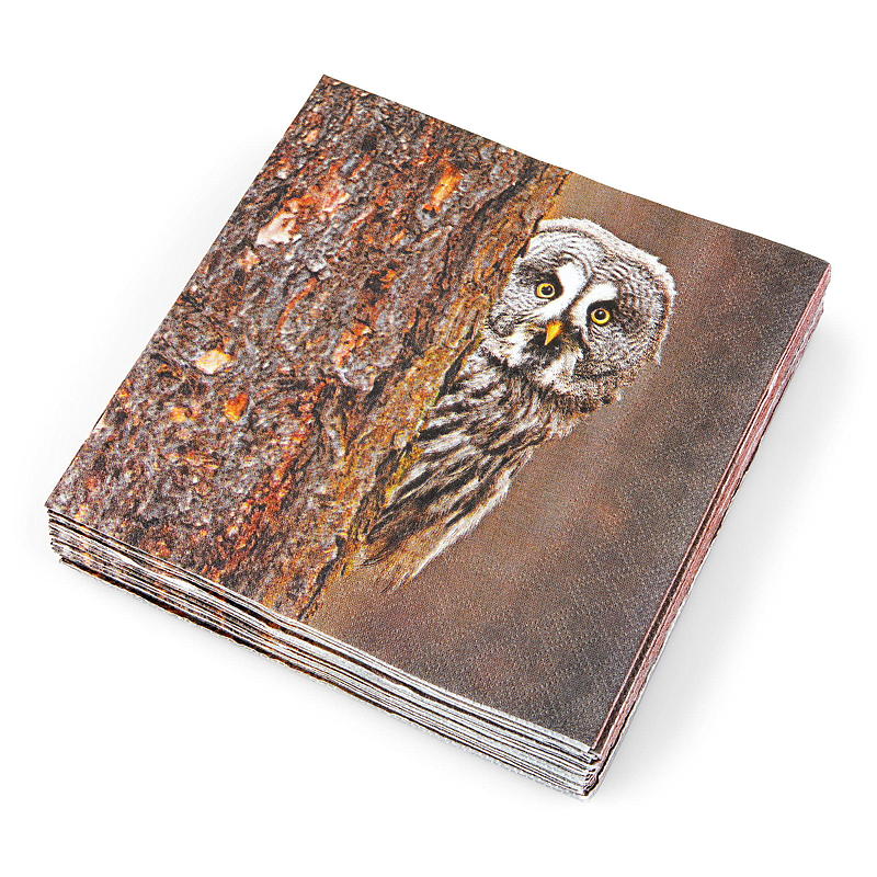 Vie Eco -lautasliinat 20 kpl 33x33 cm
