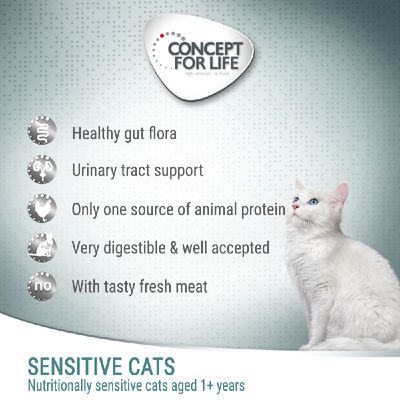 Idea per gatti sensibili alla vita