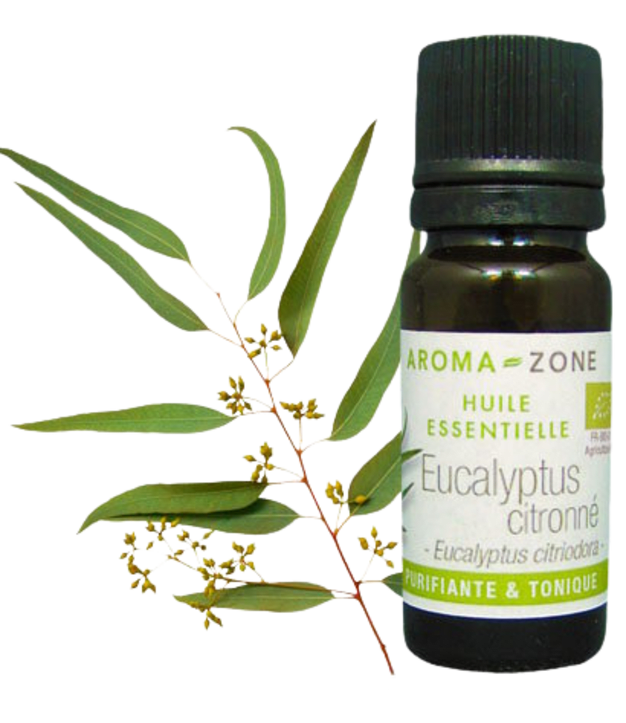 Huile essentielle Eucalyptus citronné BIO 10ml