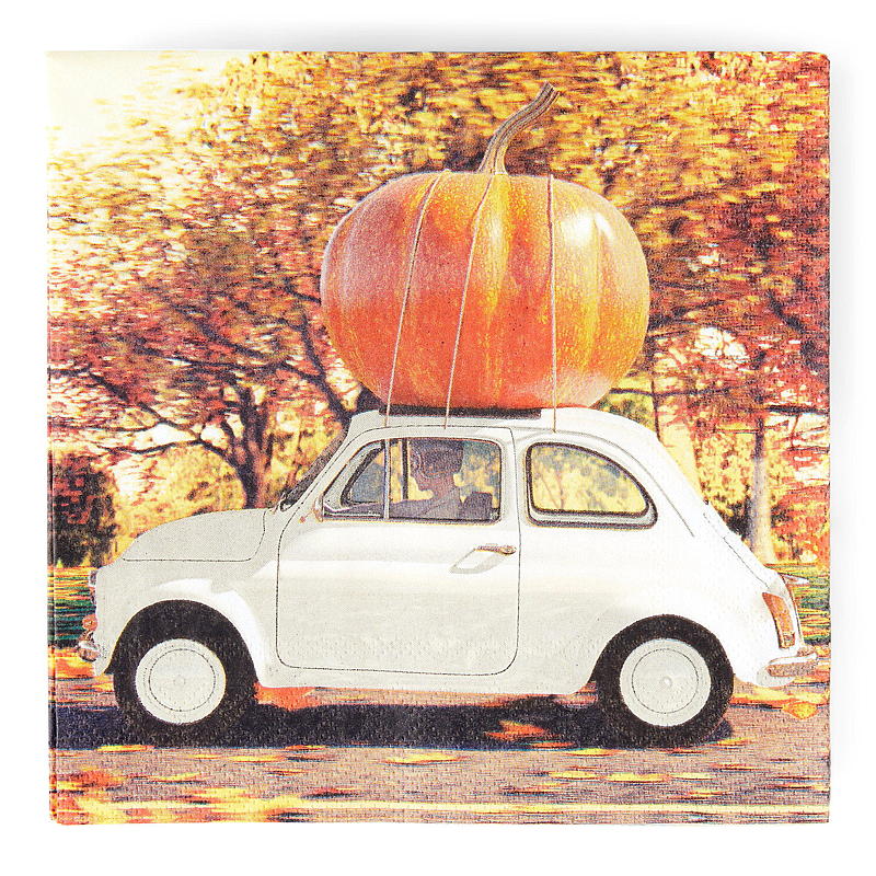 Vie Eco -lautasliinat 20 kpl 33x33 cm