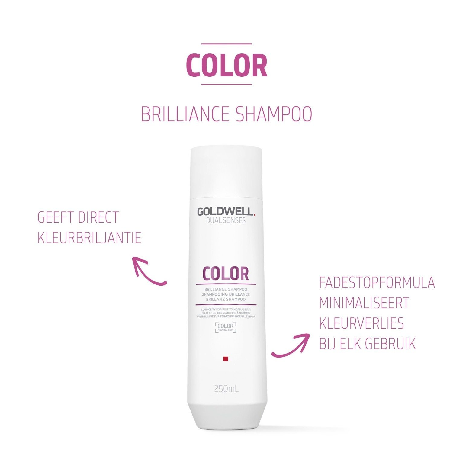 Goldwell Dualsenses Color Brilliance šampon za lase – 250 ml
