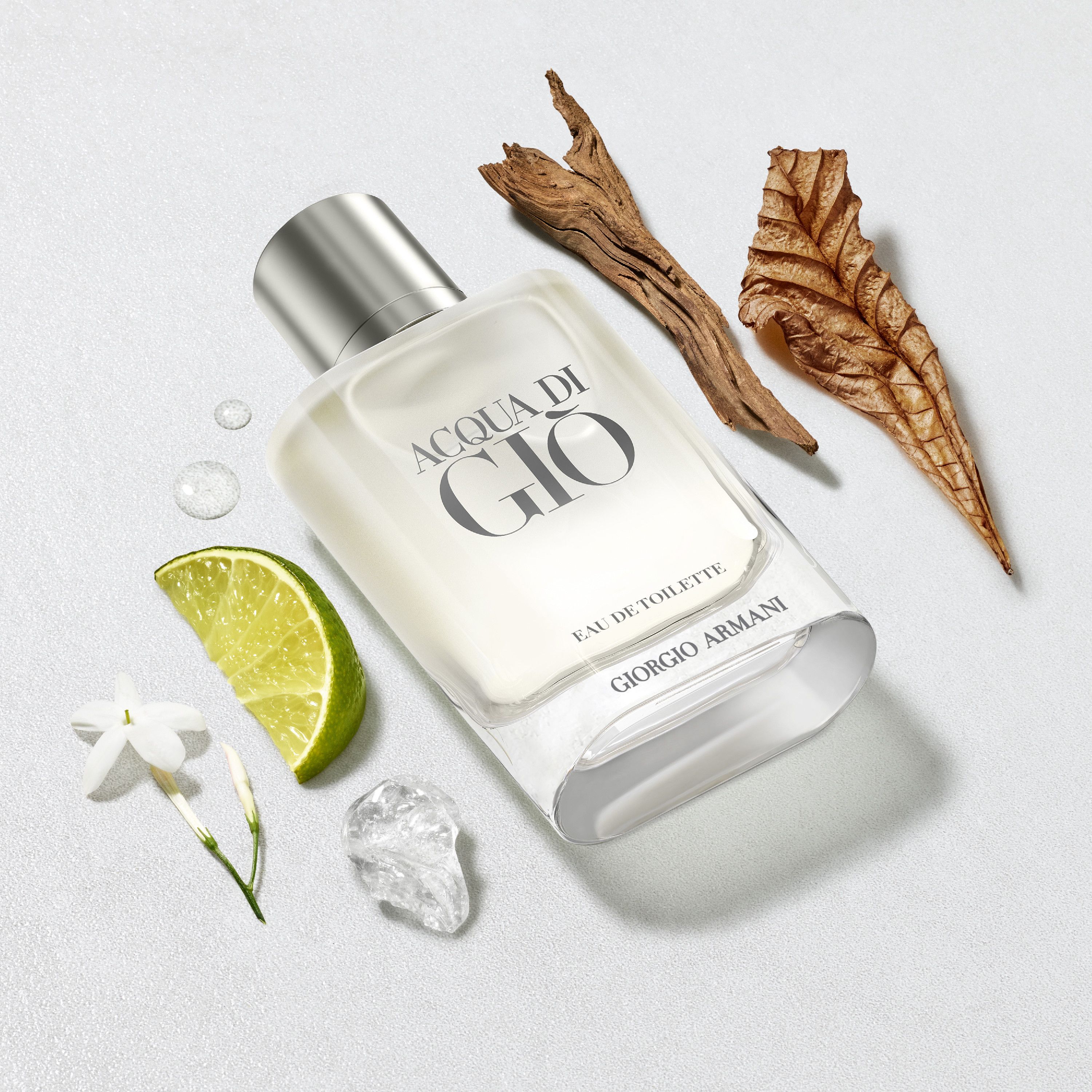 Acqua di Gio Giorgio Armani - toaletná voda pre mužov Parfémy pre mužov
