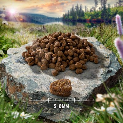 Purizon Alimento secco per gatti senza cereali, confezione economica