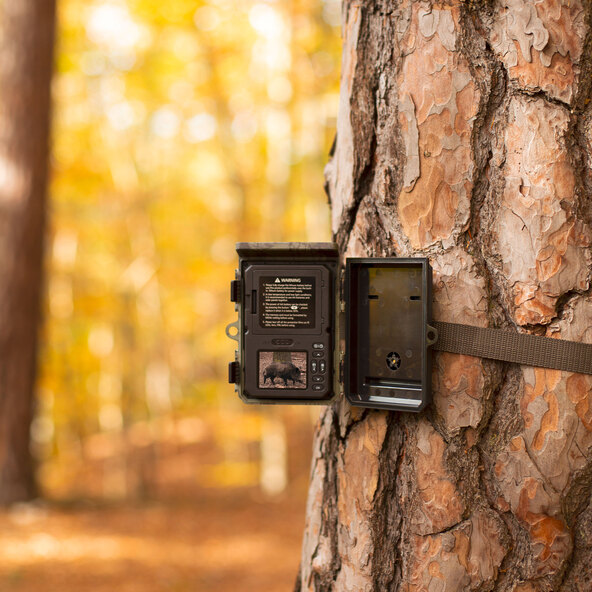 Wildlife camera WK-7HDSP