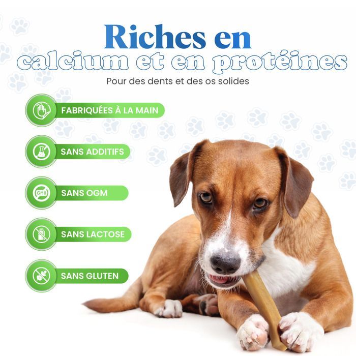 Barra de cúrcuma Healthy Pets para perros: contra el sarro y para la higiene dental. Ideal para cachorros y perros adultos.