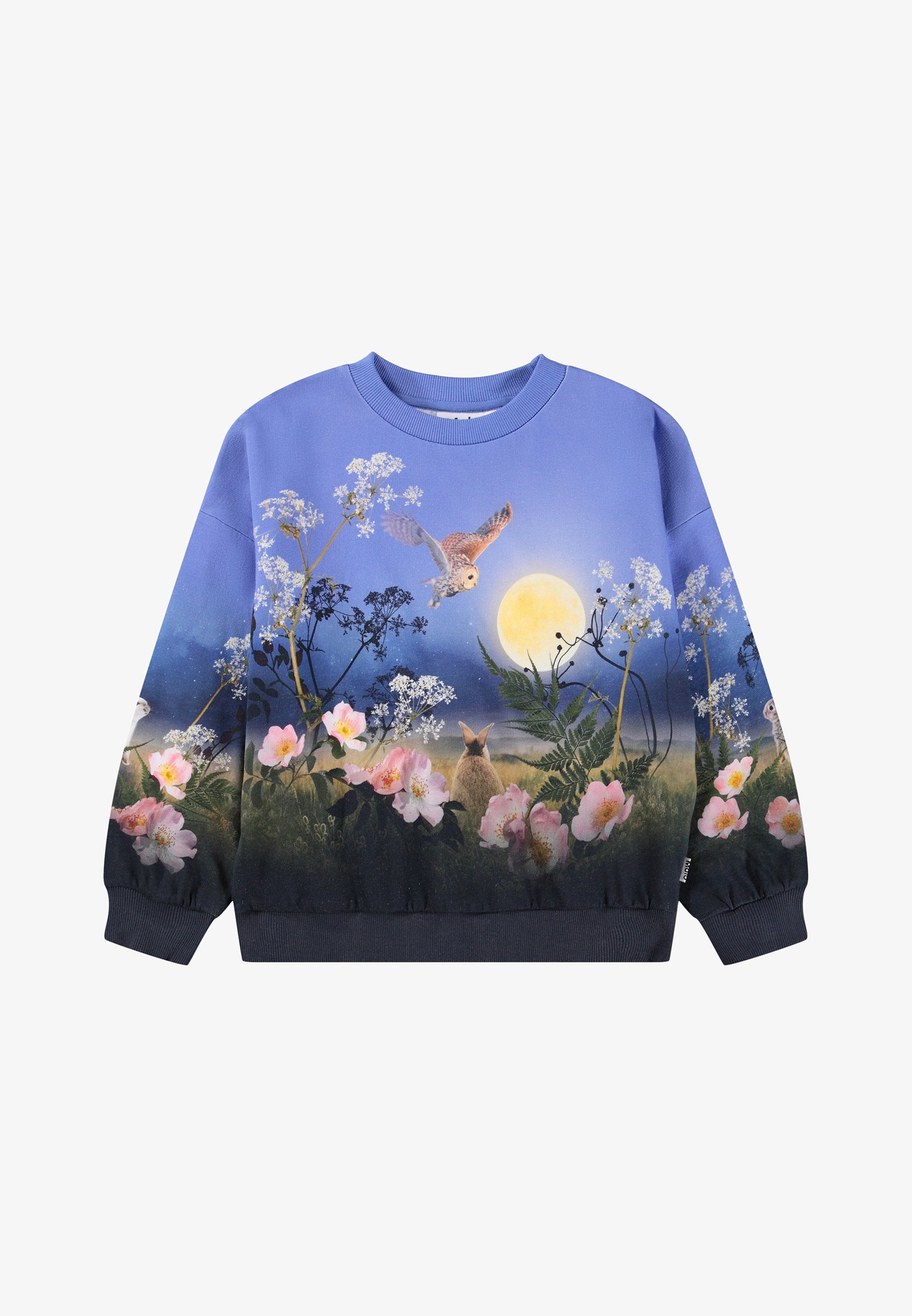 Molo MAXI - Sweatshirt - blauw