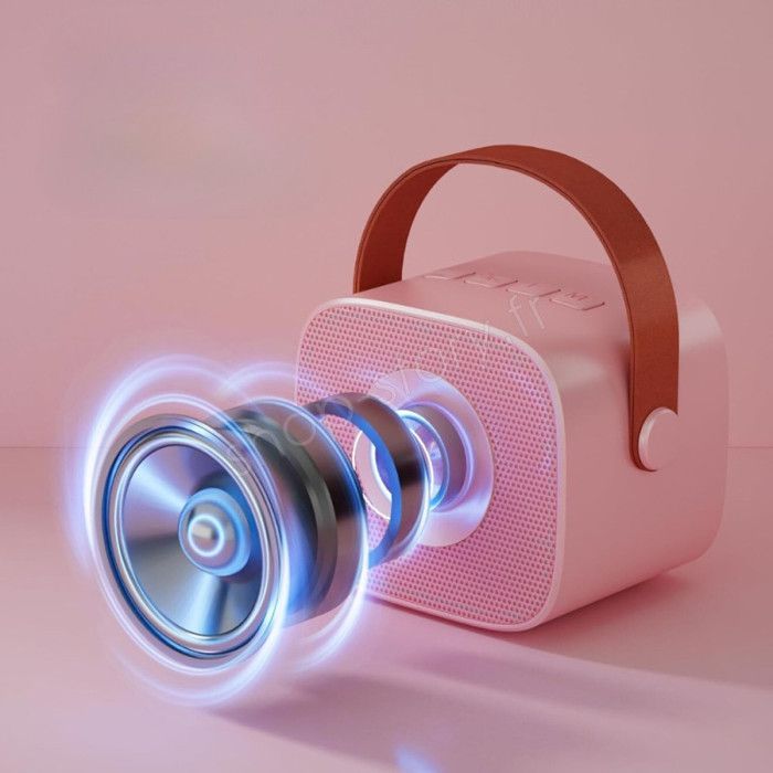 Kit Karaoke Portatile - SHOP-STORY - KARAOKIT_RO - 2 Microfoni Wireless - LED - Rosa