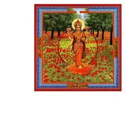 AURUM Triphaurum gotas 30 ml