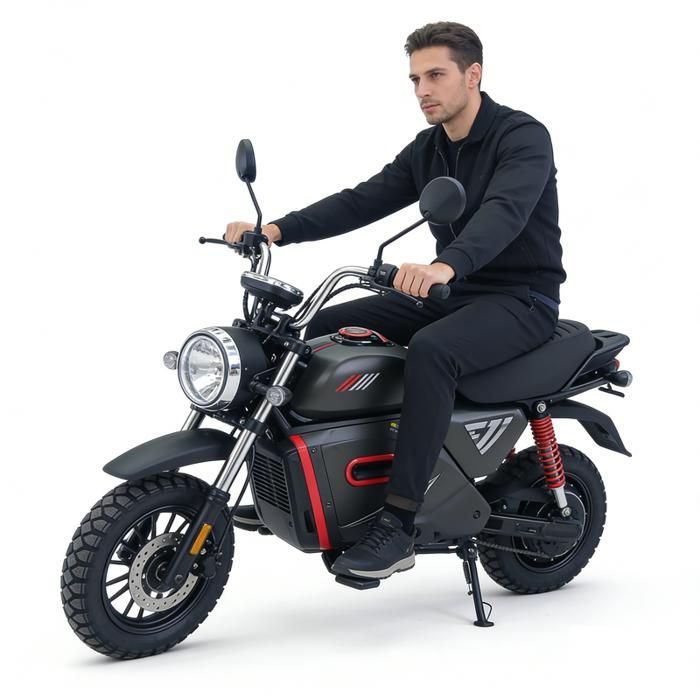 SD-M8-15'' elektrische motorfiets - 2000W - 4 versnellingen - 90 km actieradius - 150 kg - Opbergbox voorin - Bagagedrager achterin - Geschikt voor alle terreinen