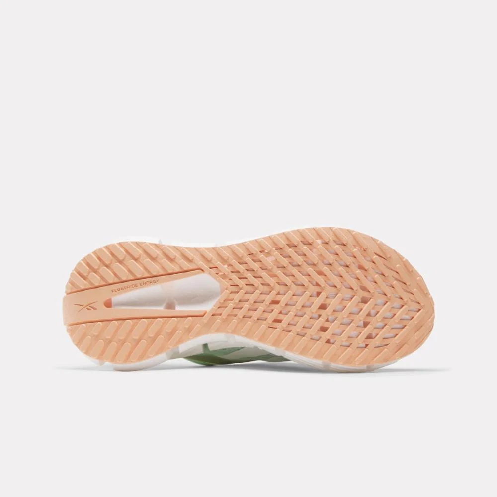 Reebok Footwear Women Floatzig 1 Shoes